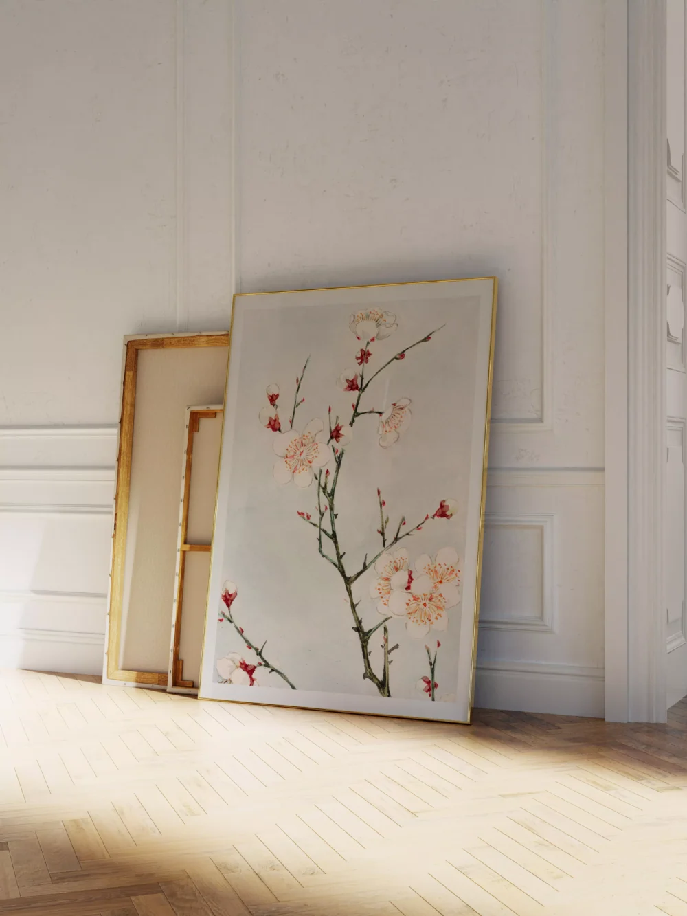 BLOSSOMIA